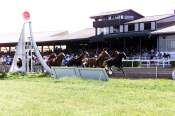 La photo de Hippodrome Agen 