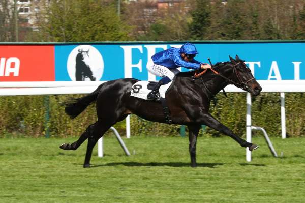 Photo de KHAGAN cheval de PLAT