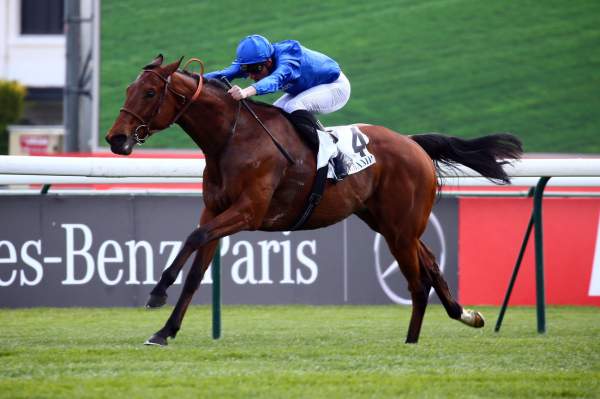 La photo de Persian King 