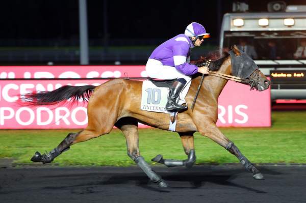 La photo de Go Go Gigi 