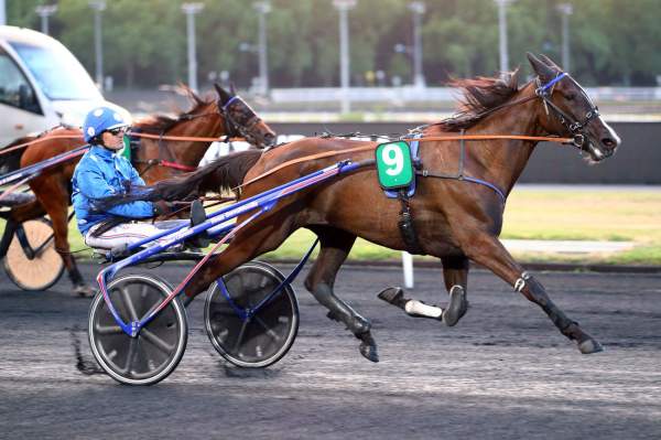 Photo de GIRL DE BASSIERE cheval de TROT ATTELE
