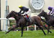 La photo de Crystal Ocean