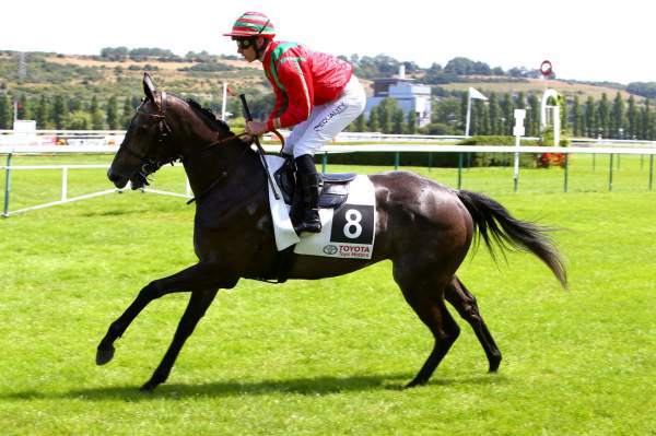 Résultat de recherche d'images pour "Ostia cheval"