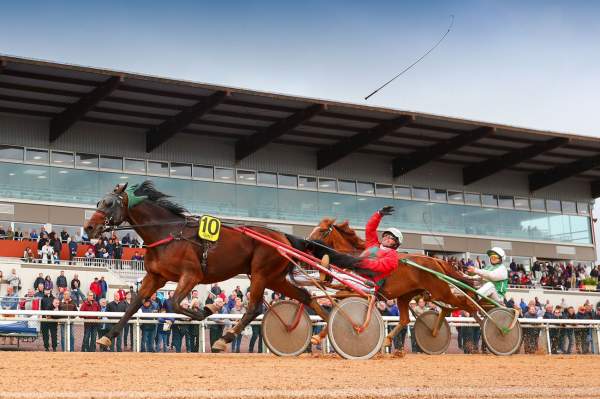 paris turf annonces trotteurs