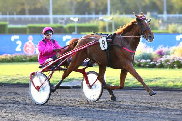 Pronostic PMU Quinté+ Prix Dominique Savary, samedi à Enghien. EMONE CRUZ, une valeur sûre à ce niveau - Vimarsana News