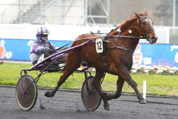 La photo de Danae De Corbery Quinté+ Pmu Prix de Rethel 2020 à Paris-Vincennes