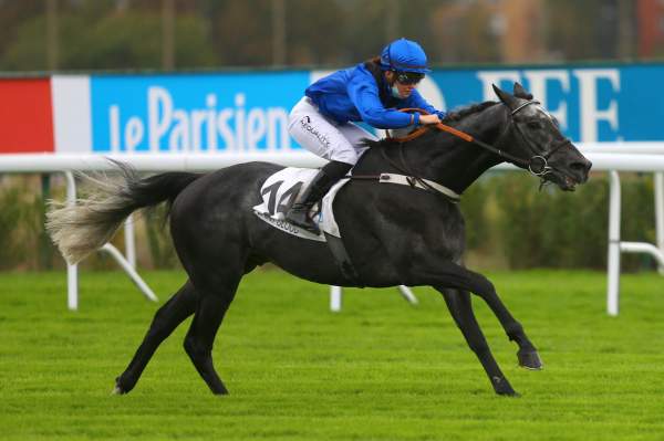 Photo de L'IMPROVISTE cheval de PLAT