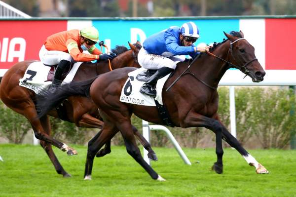 Photo de BREVILLE cheval de PLAT