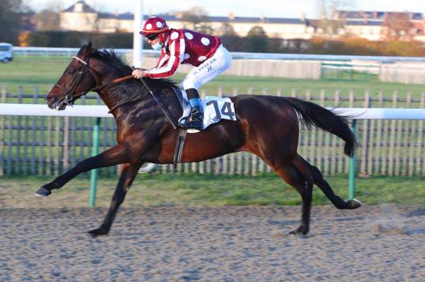 Quinte Pmu Prevision Prix De Cannes 20 Janvier 2021