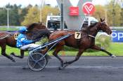 La photo de Brillant Madrik Quinté+ Pmu Prix d'Arcachon 2020 à ParisVincennes