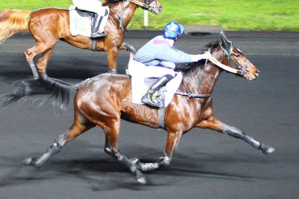 Photo de GALILEA PASSION cheval de TROT MONTE