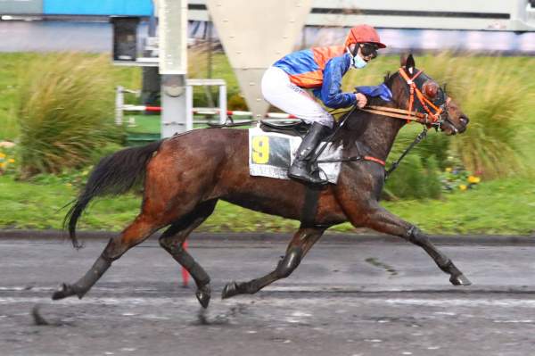 La photo de Gladys Des Plaines Course Pmu Prix Léon Tacquet 2020 à Vincennes