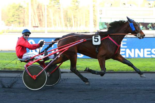 Photo de IDEALE DU CHENE cheval de TROT MONTE
