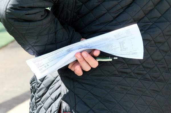 La photo de  Programme Courses Pmu 