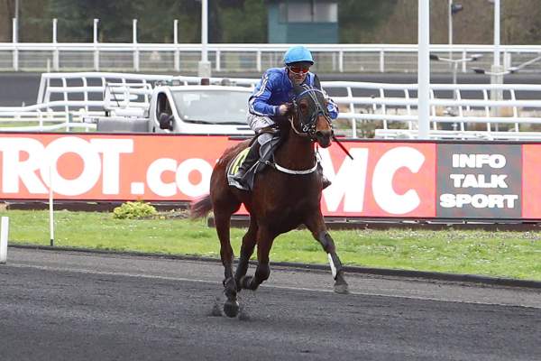 Photo de HYDRE cheval de TROT MONTE