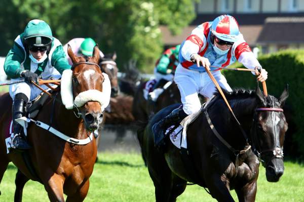 La photo de Enola Gay Course Pmu Prix Pot d'Or 2020 à Clairefontaine-Deauville