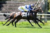 La photo de Excalibur