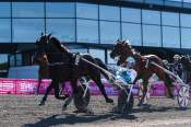La photo de Don Fanucci Zet