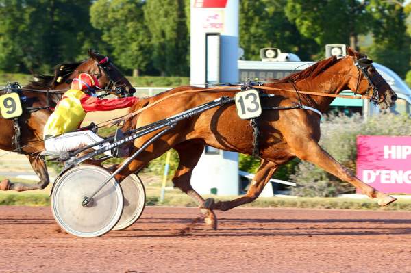 Photo de DREAM DE LASSERIE cheval de TROT ATTELE