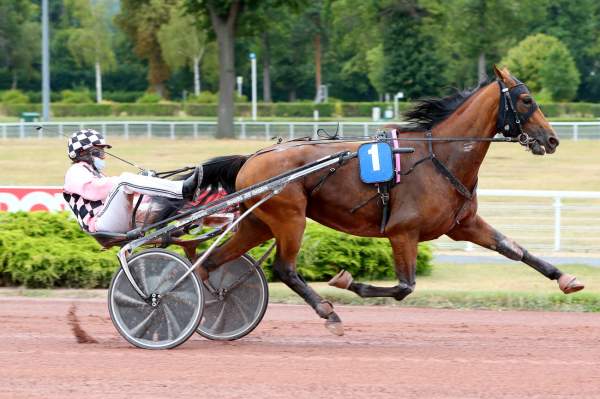 Photo de HOFFENBACH cheval de TROT ATTELE