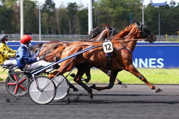 Photo de GHALIE DU GOUTIER cheval de TROT ATTELE