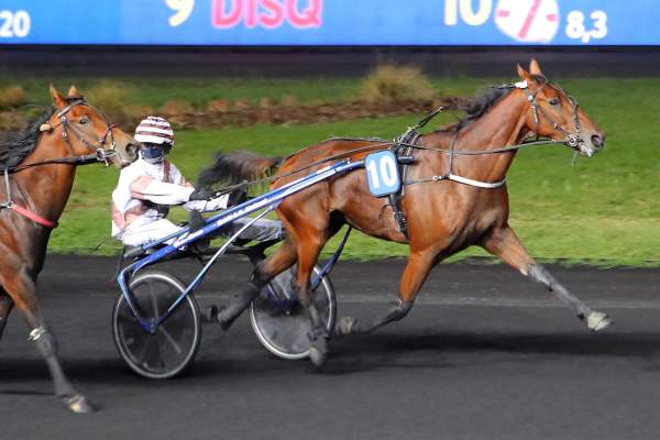 Quinte Pmu Pronostic Du Prix De Nonant Le Pin 8 Mars 2021