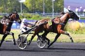 La photo de Hanna Des Molles Course Pmu Prix de Taverny 2020 Ă Vincennes