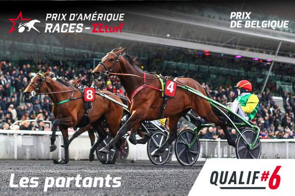 La photo de Davidson Du Pont Prix d'Amérique Races ZEturf, Prix de Belgique, Qualif #6