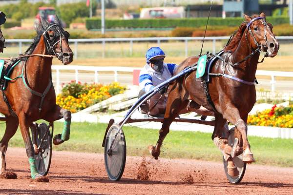 Résultat du quinté Prix du Bois du Bouc, mercredi à Vichy. ENDO D'AZIF s'impose en patron - Vimarsana News