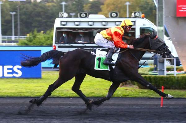 Photo de HURRICANE WAY cheval de TROT MONTE