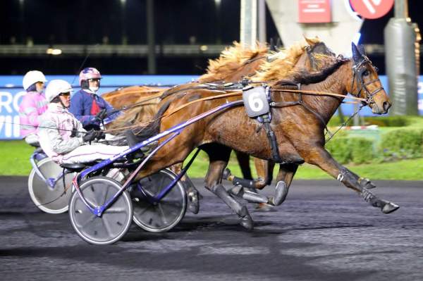 Photo de IONA DE FEUGERES cheval de TROT ATTELE