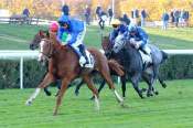 La photo de Afterglow Arrivée du Prix Denisy  2021 Hippodrome de Saint-Cloud 10/11/2021
