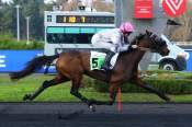 La photo de Halfa Arrivée PMU PRIX DE MIRAMONT DE GUYENNE Hippodrome de  VINCENNES
22/11/2021