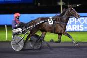 La photo de Farrell Seven Arrivée PRIX TRITON - QUINTE + Hippodrome de VINCENNES 26/11/2021