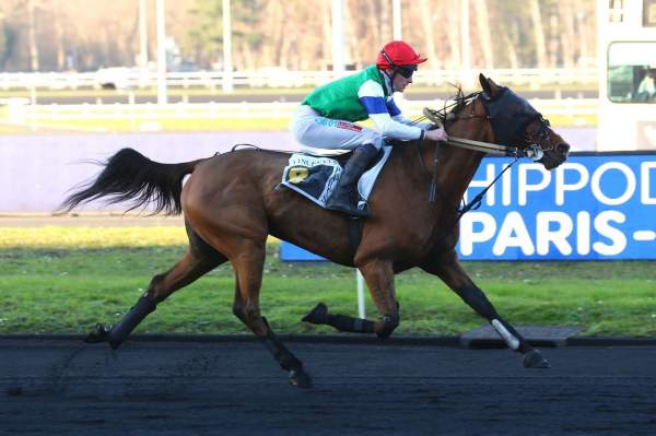 Photo de HIS DREAM DE CAHOT cheval de TROT MONTE