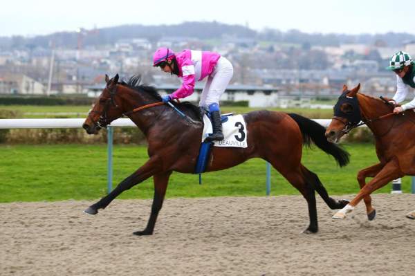 Photo de ROYAL RIGHT cheval de PLAT