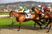 La photo de Nepalais Arrivée PRIX DE SAINTE-MERE-EGLISE - QUINTE + Hippodrome de DEAUVILLE 01/12/2021
