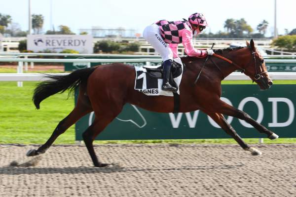 La photo de Alessandro 