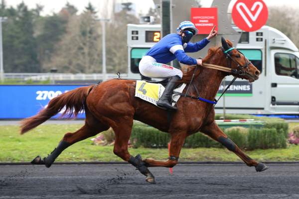 Photo de IVOIRE DU CEDRE cheval de TROT MONTE