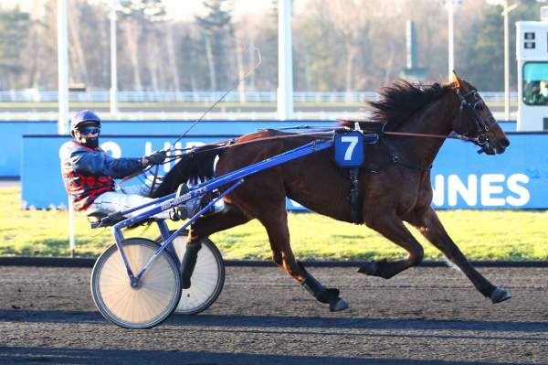 Photo de HERAKLION DESBOIS cheval de TROT ATTELE