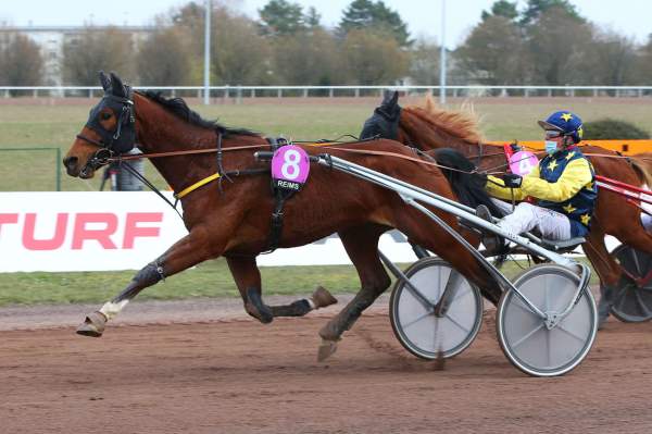 Photo de IDEAL DE CASTELLE cheval de TROT ATTELE