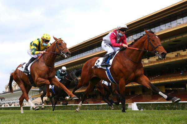 La photo de Policy Of Truth Arrivée PMU Prix de Fontainebleau Hippodrome de Longchamp 18/04/2021