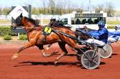 La photo de Eden Basque Arrivée Quinté PMU GNT Hippodrome de Lyon-La-Soie 14/04/2021