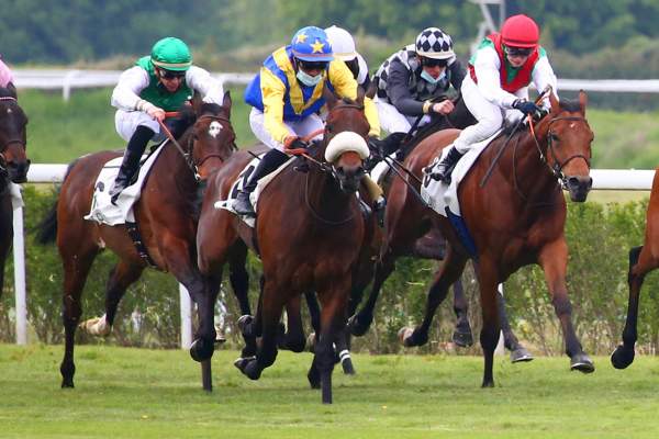 Pronostic PMU Quinté+ Prix Apolline Matin - Prix de Barneville, jeudi à Deauville. DRAGONET, une première chance - Vimarsana News