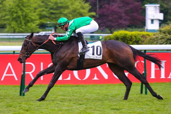 Pronostic PMU Quinté+ Prix de la Côte de Nacre, lundi à Clairefontaine-Deauville. GLADYS SENORA, une évidence - Vimarsana News