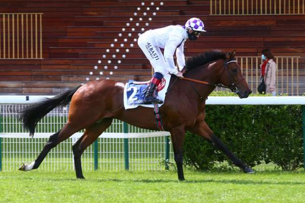 La photo de Poetic Flare 