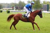 La photo de Momarasa Arrivée Quinté PMU Prix Benjamin Boutin Hippodrome de Compiègne 25/05/2021 