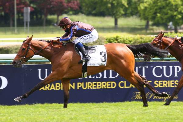 La photo de Burgarita 