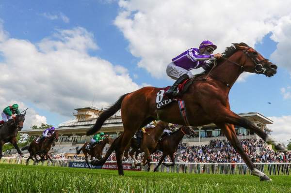 La photo de St Mark's Basilica Arrivée Quinté PMU Prix du Jockey Club Hippodrome de Chantilly 06/06/2021