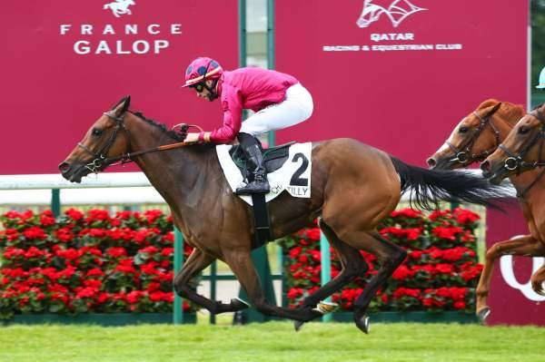 La photo de Thunder Drum Arrivée PMU Prix de Royaumont Hippodrome de Chantilly 06/06/2021